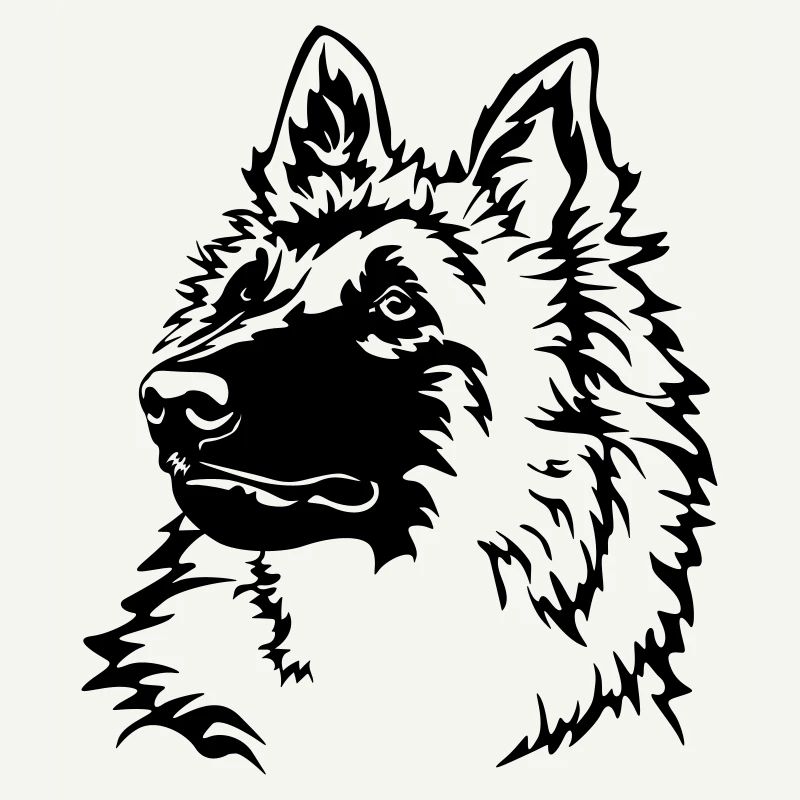 Tête tervuren