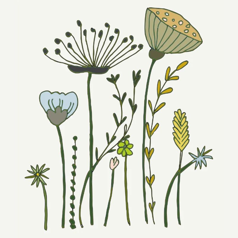 Fleurs séchées