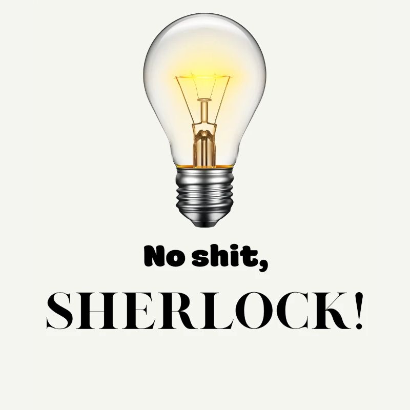 Pas de merde Sherlock !