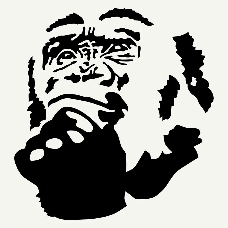 monkey