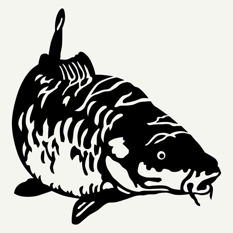 Carp