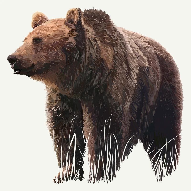 Realistic bear illustration on textile