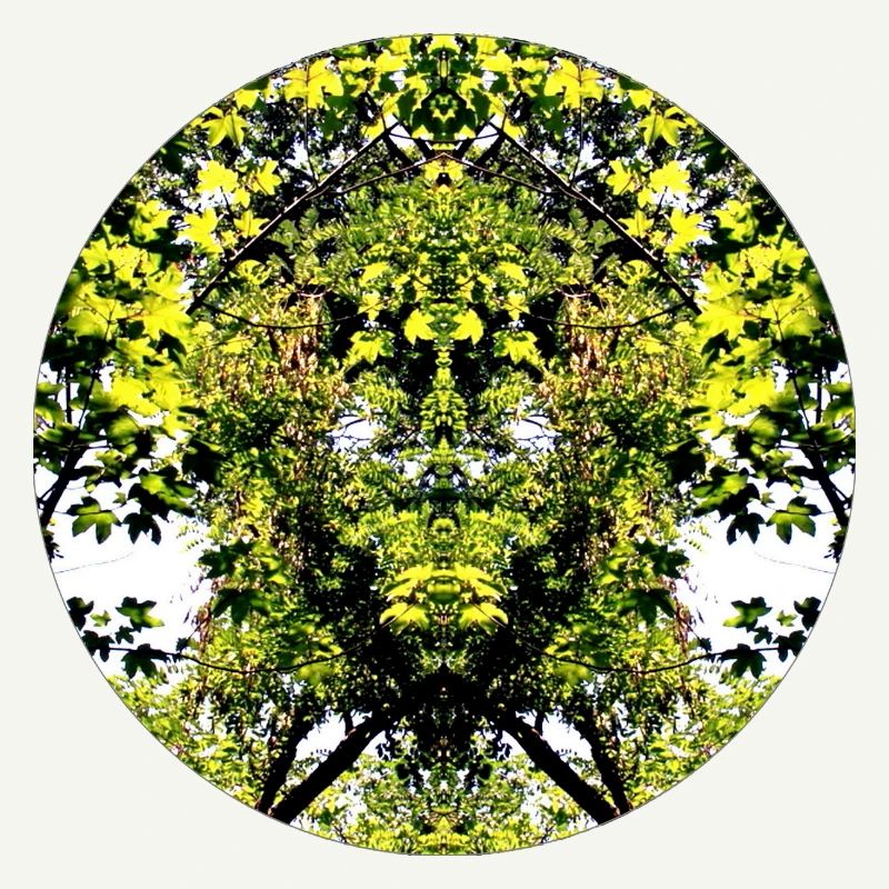 Tree Nature Creature