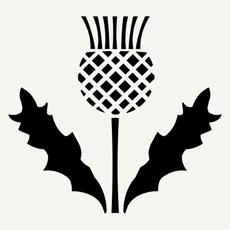 Scottish Thistle