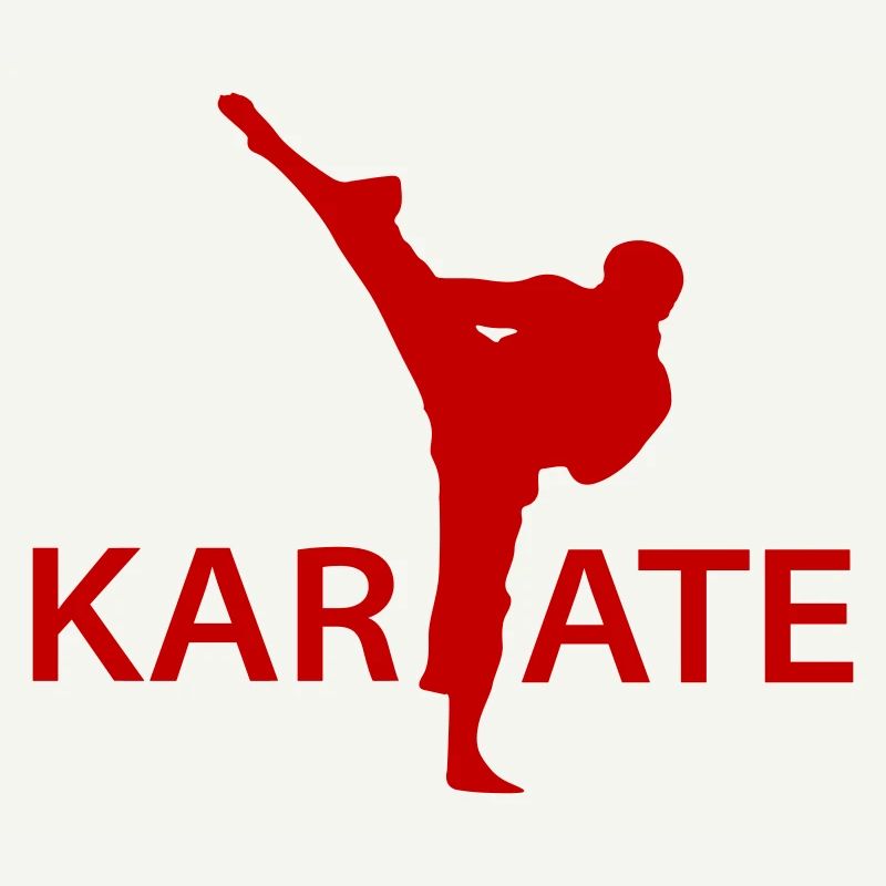 Karate Kick Silhouette