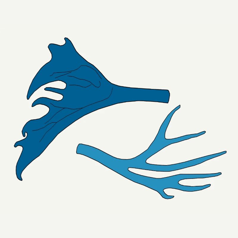 Bois de cerf