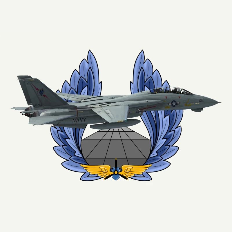 F-14 Tomcat