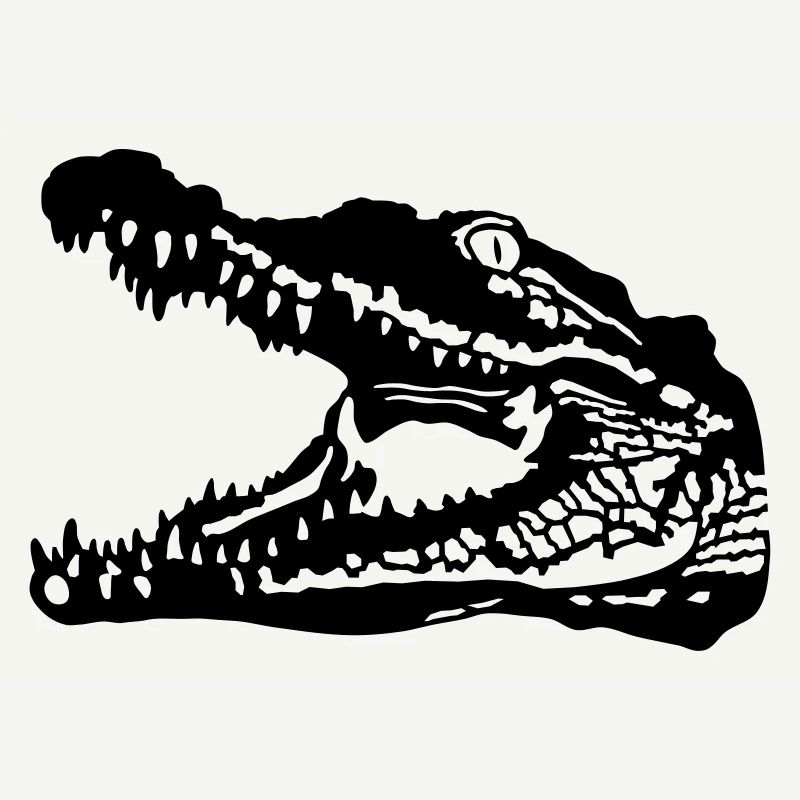 Crocodile