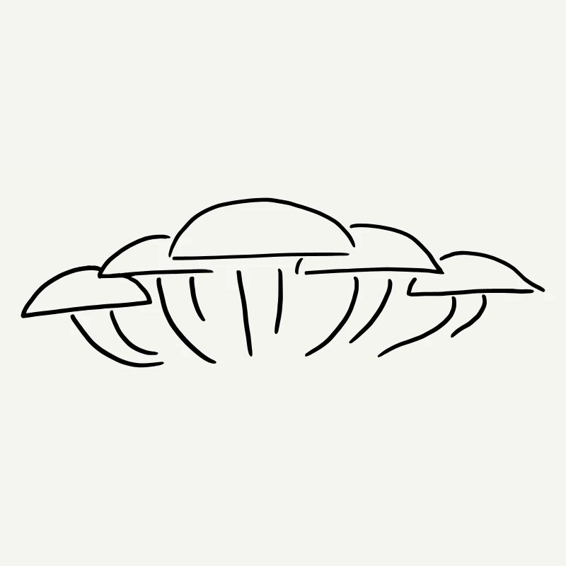 Groupe de champignons - Un groupe de champignons