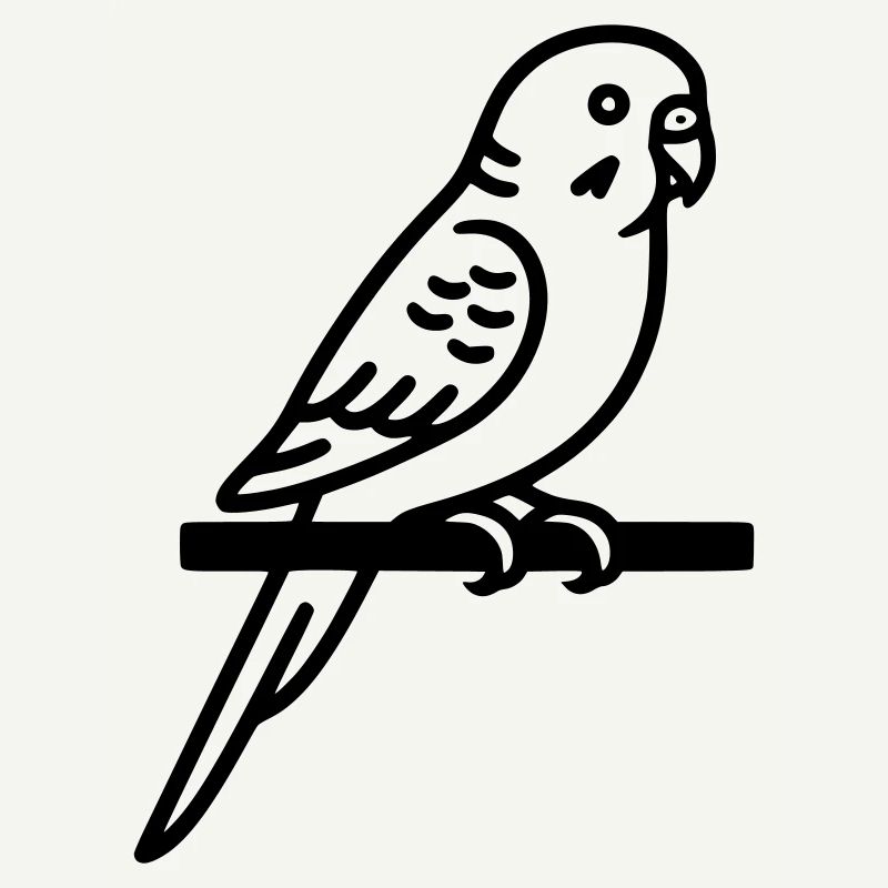 Perruche Animal de compagnie