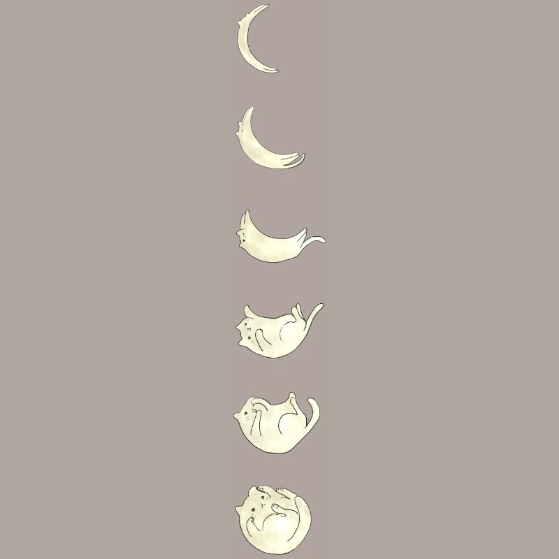 Chat de la lune