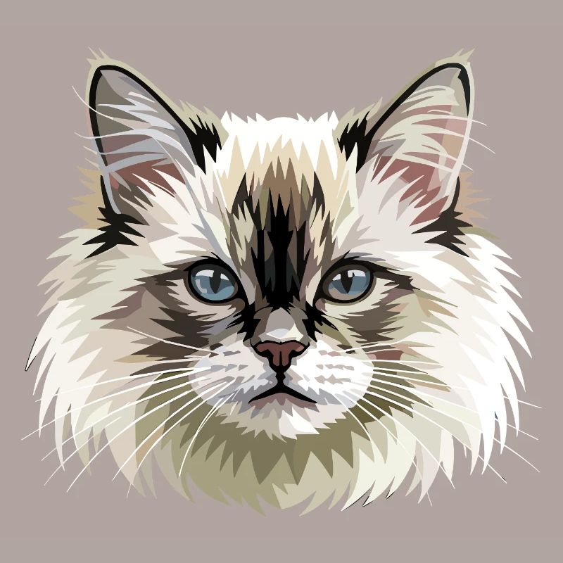 Chat Birman Chat Birman Sacré Chat Birman Mignons Chats Birman