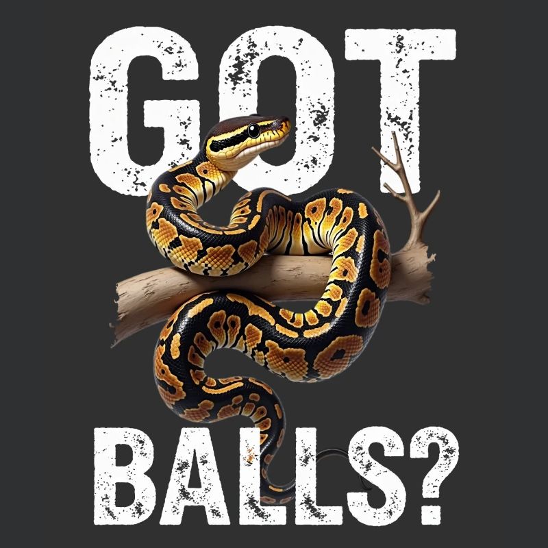 Python roi Serpents Amateurs de terrarium Python