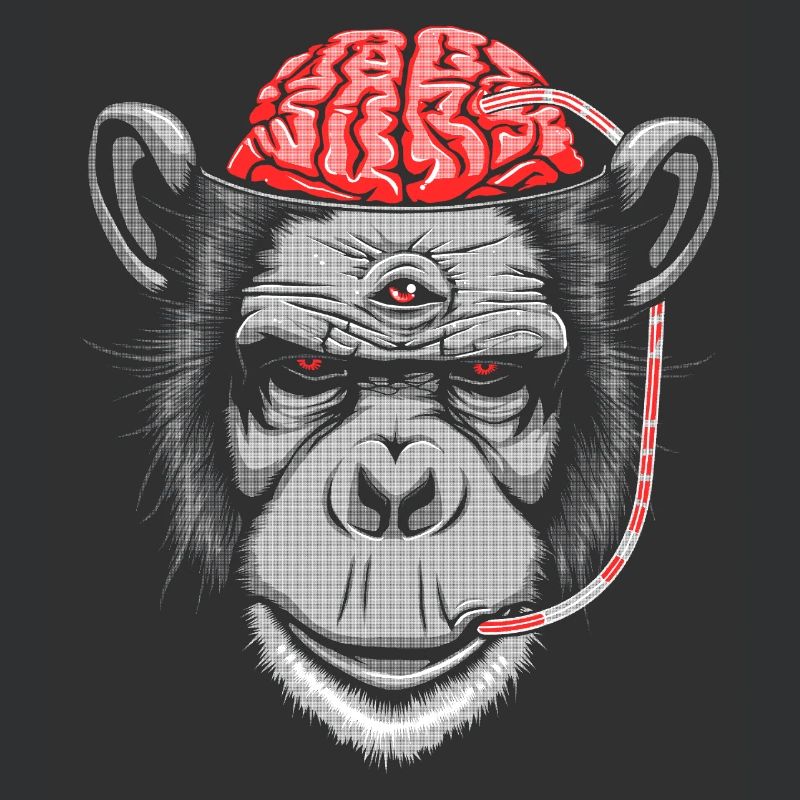 Brain Chimp 2