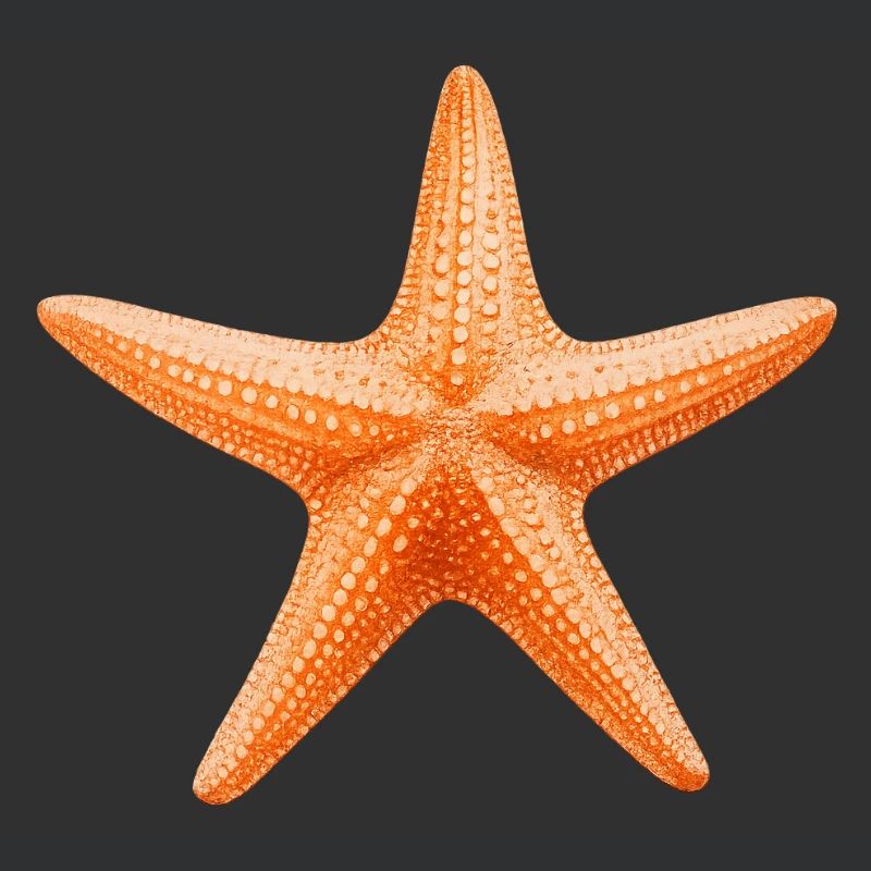 Conception de la plage Orange Starfish