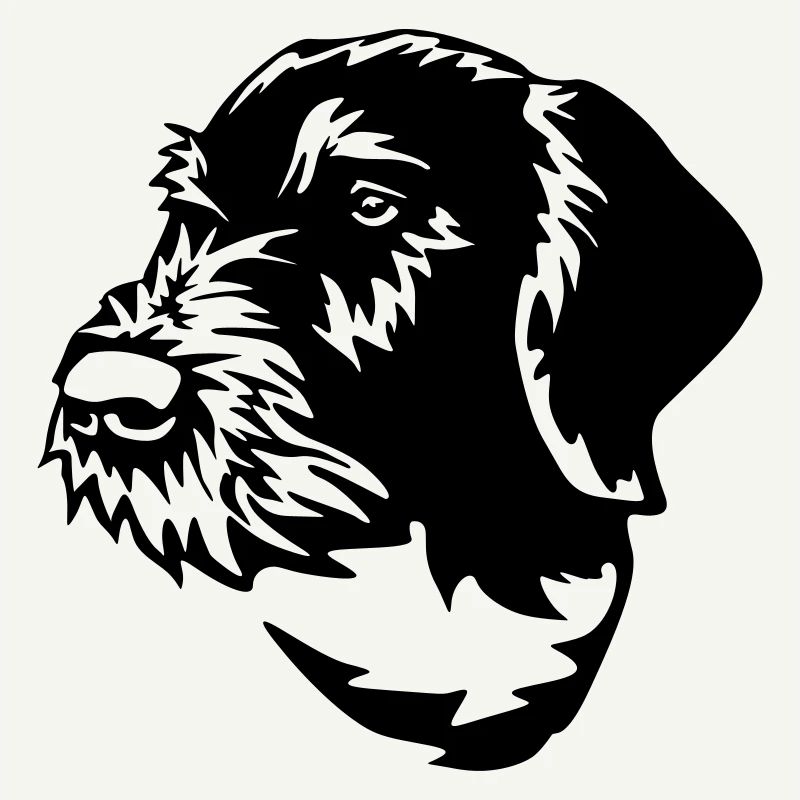 German Wirehaired Pointer