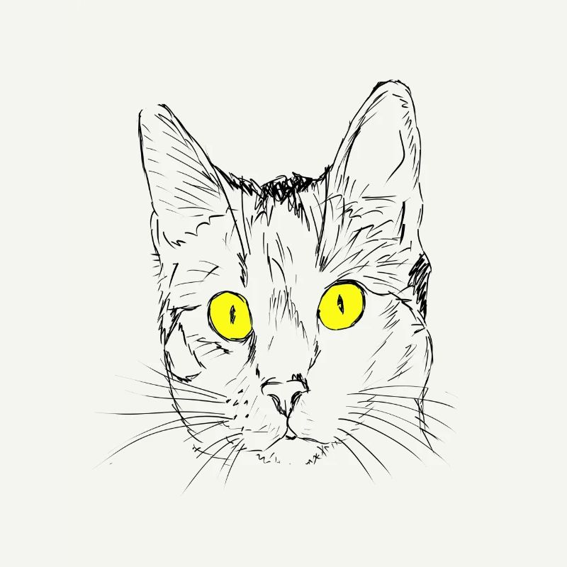 Chat, gueule de bois, amant de chat, tête de chat, oeil de chat