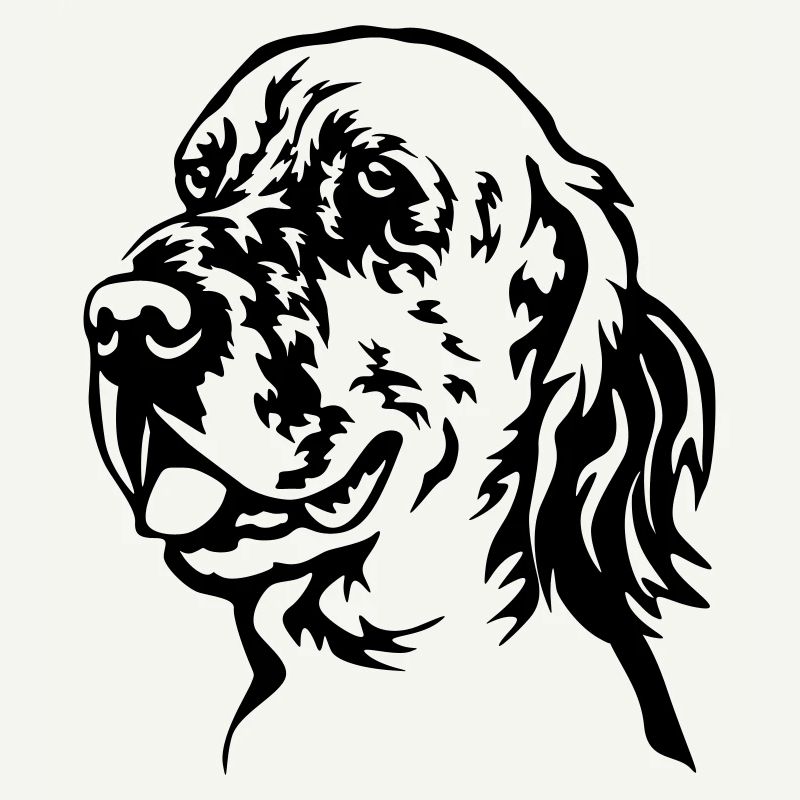Chef de setter anglais