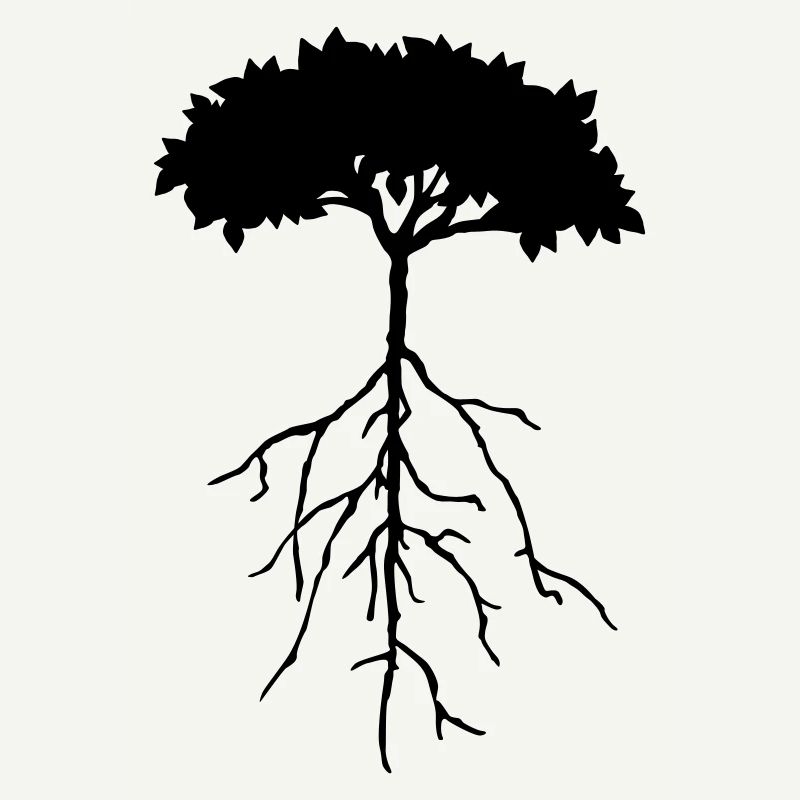 root tree