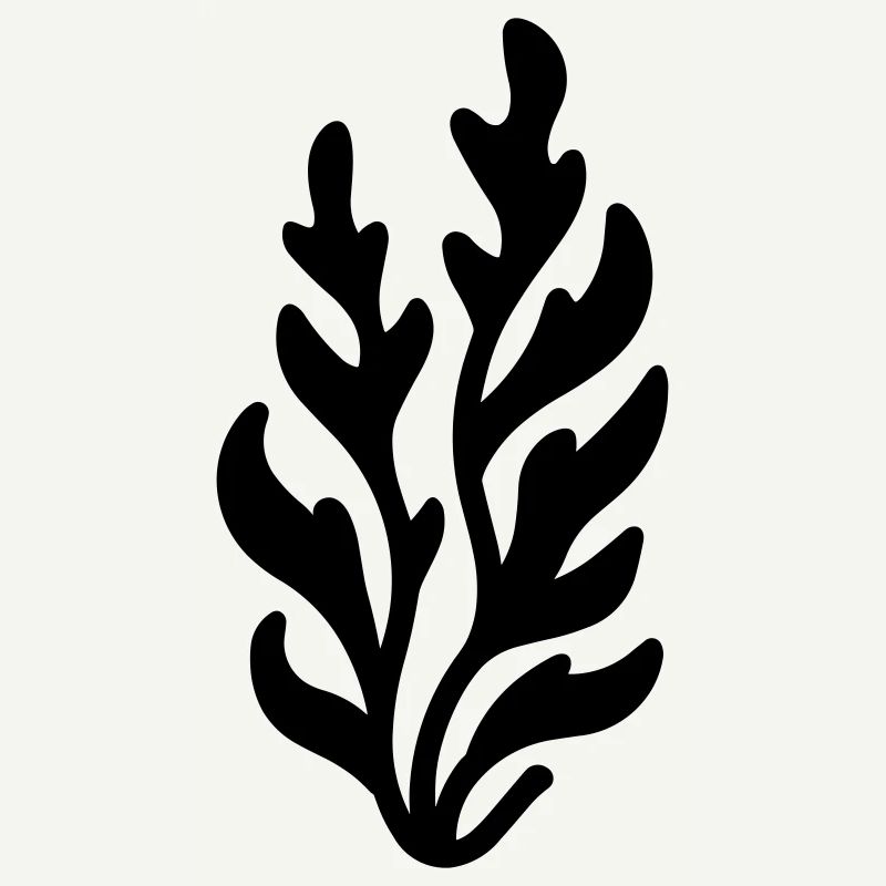 algue