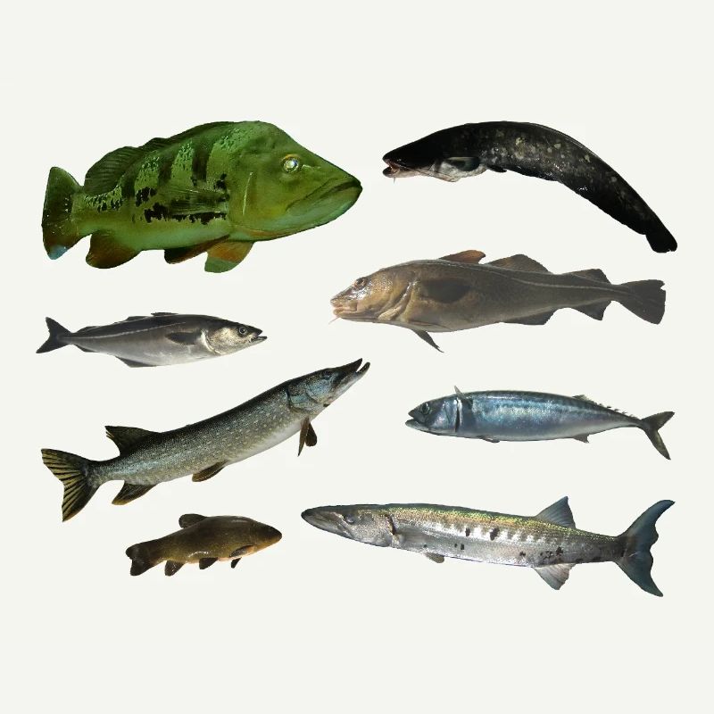Pisces