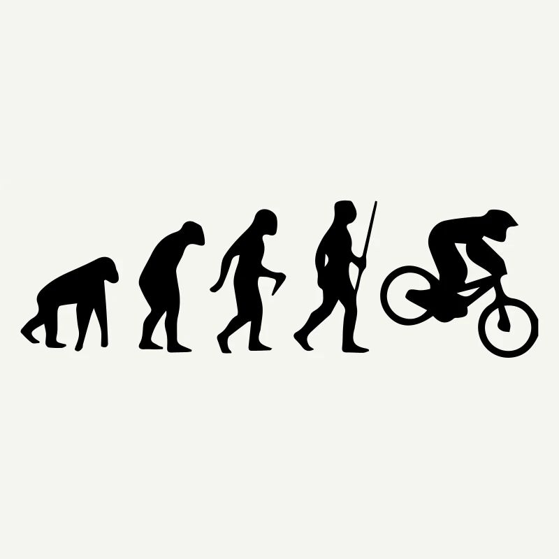 MOTORCROSS EVOLUTION