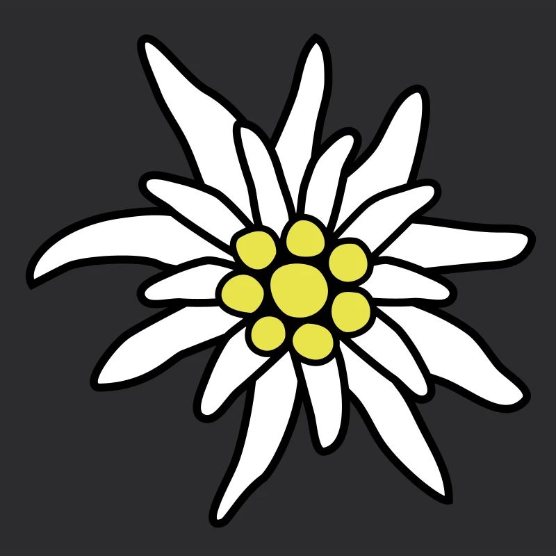 Edelweiss fleur