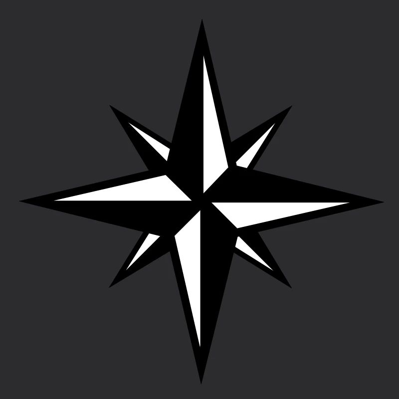 Compass icône