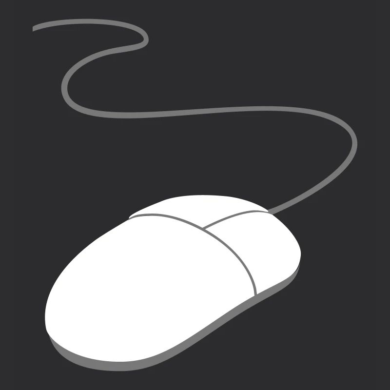 computer mouse