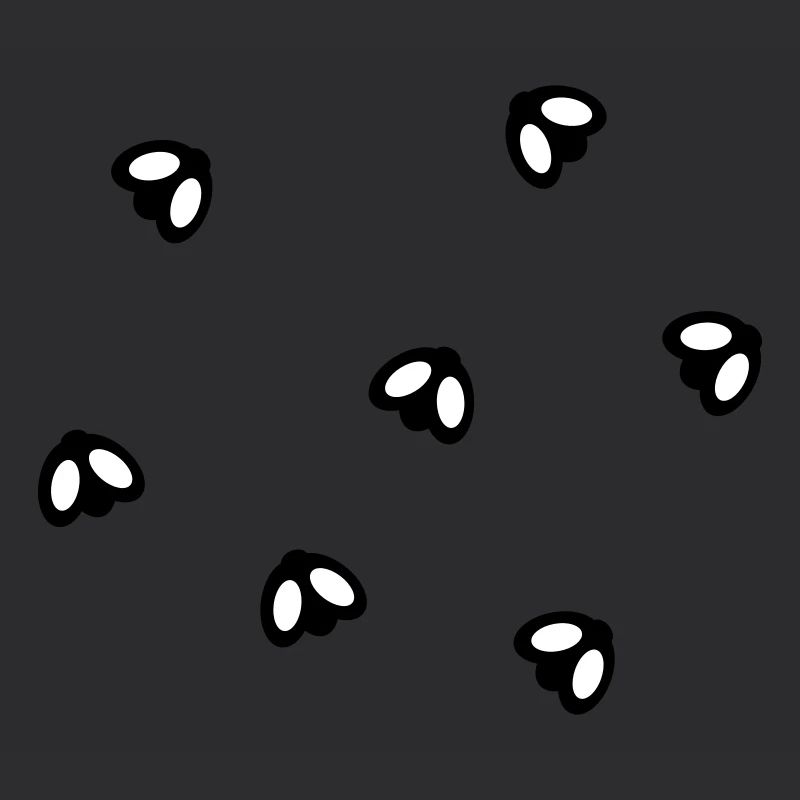 Fly