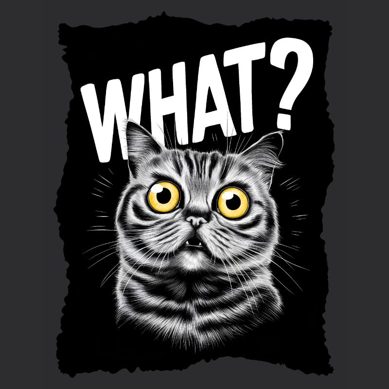Chat - Quoi ?