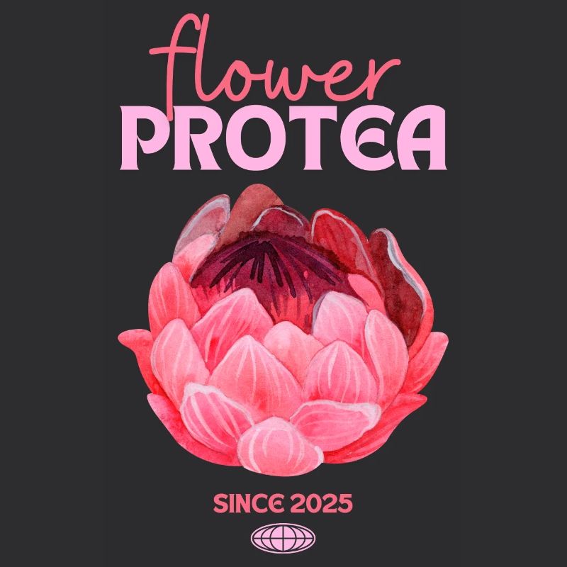 Protea Protea Fleur Proteas Fleurs roses