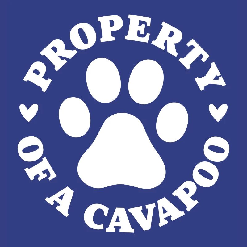 Propriété d’un Cavapoo