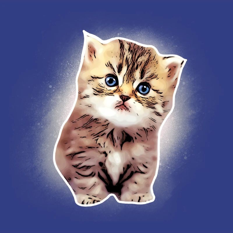 Bébé chat