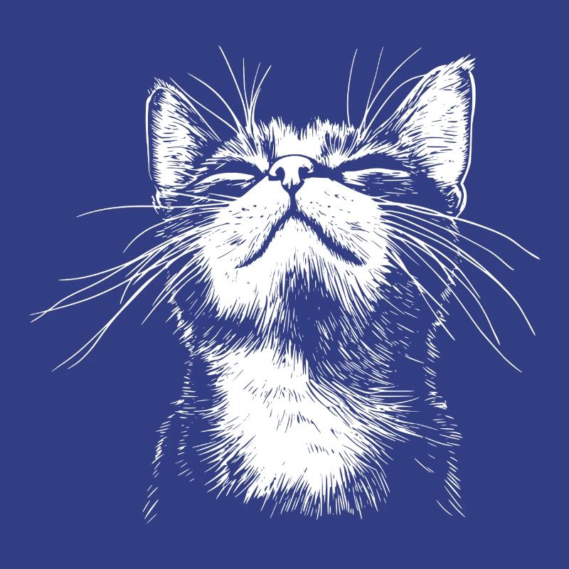 Drôle de Chat