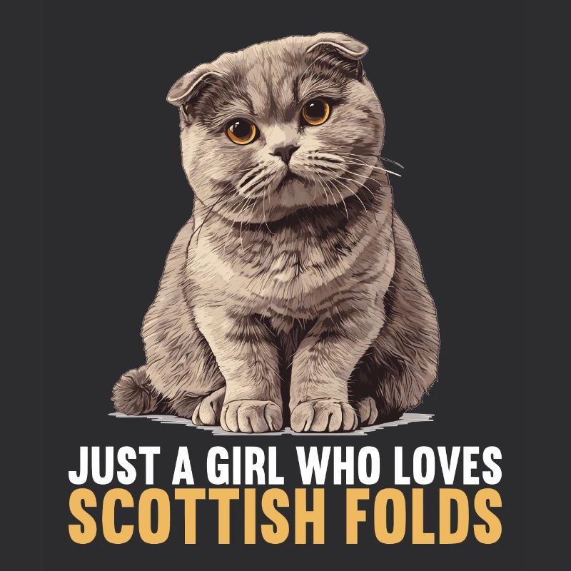 Scottish Fold Kitten Scottish Fold Cat