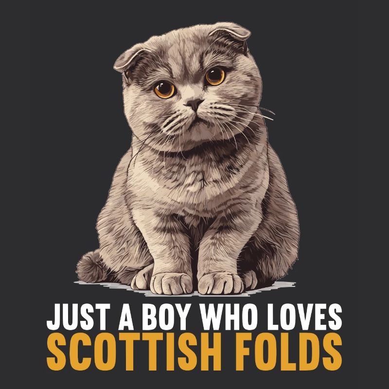 Scottish Fold Kitten Scottish Fold chat