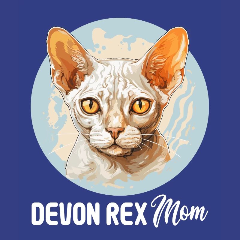 Chaton Devon Rex Chat Devon Rex