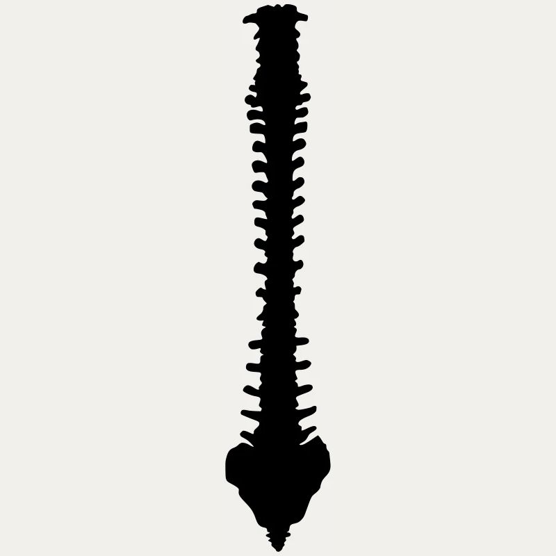 Wirbelsäule