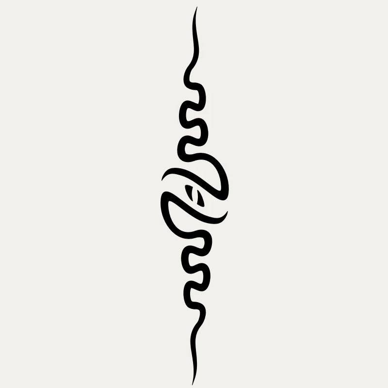 spine_front