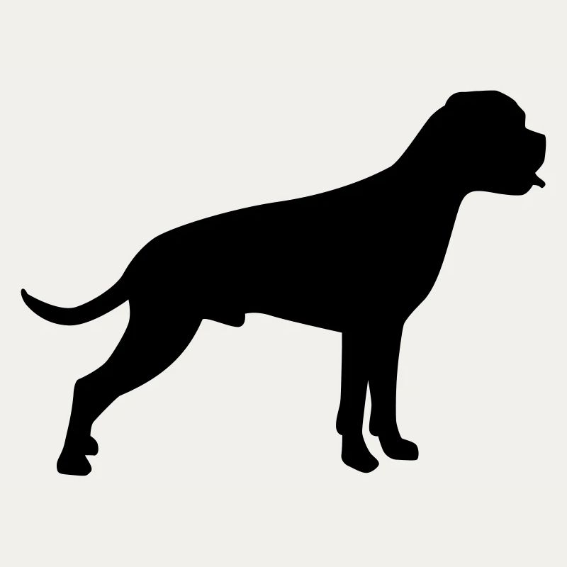 Boxer