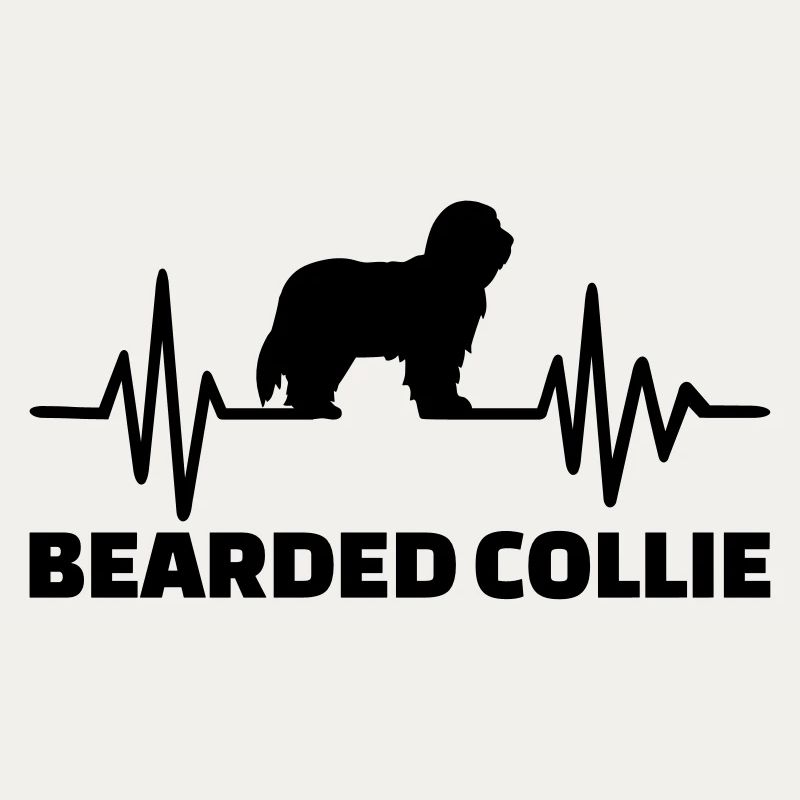 Bearded Collie