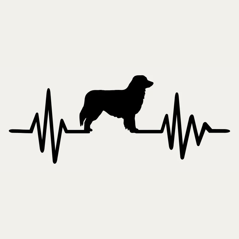 Australian shepherd