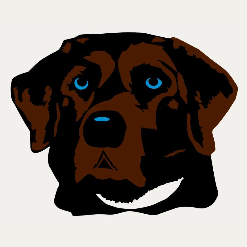 Labrador braun, blond oder schwarz