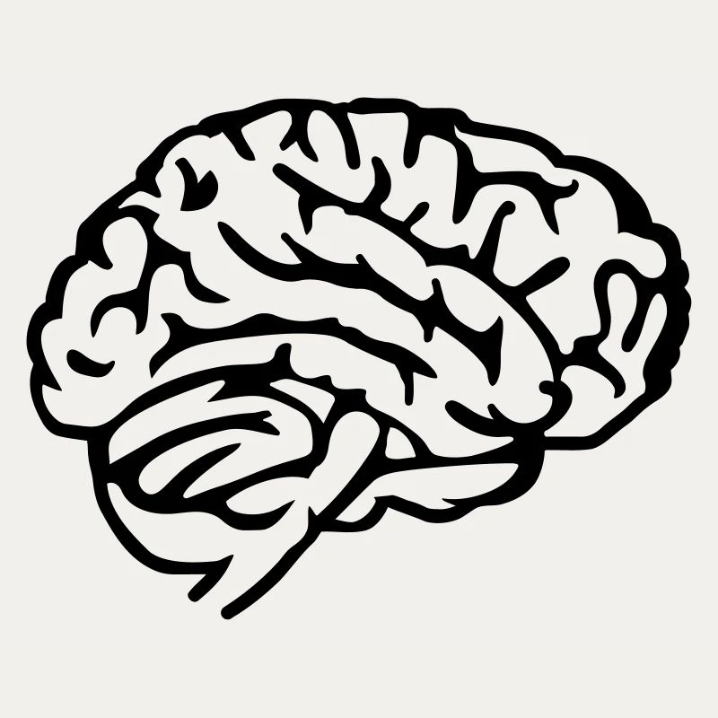 Brain
