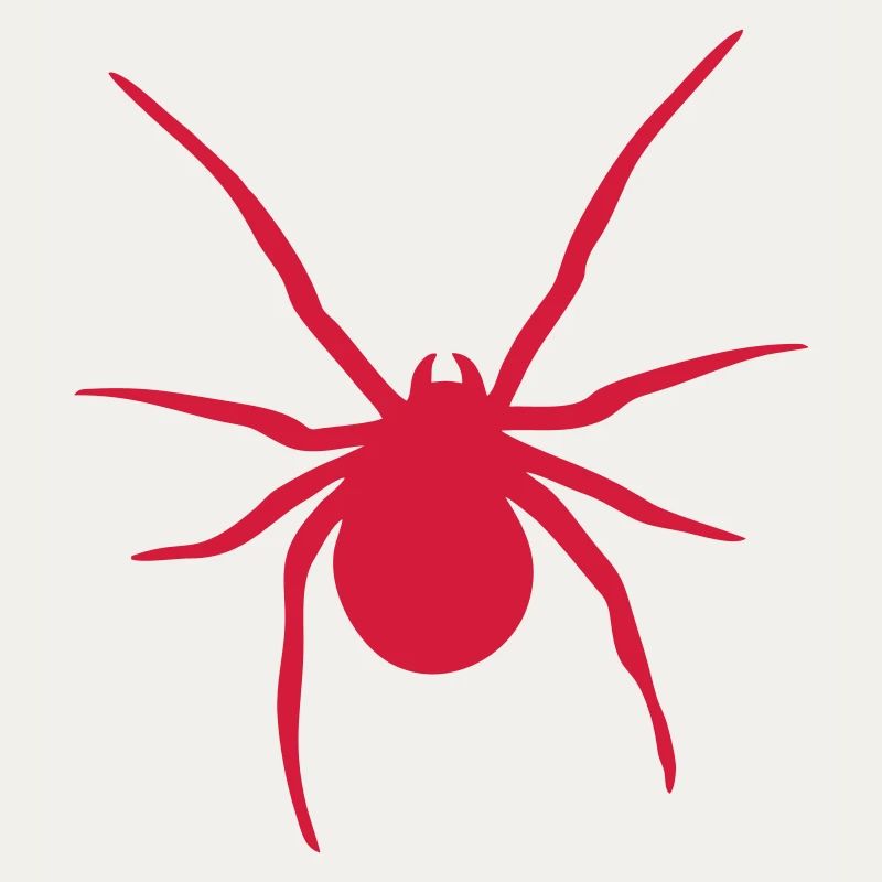 Araignée - Spider