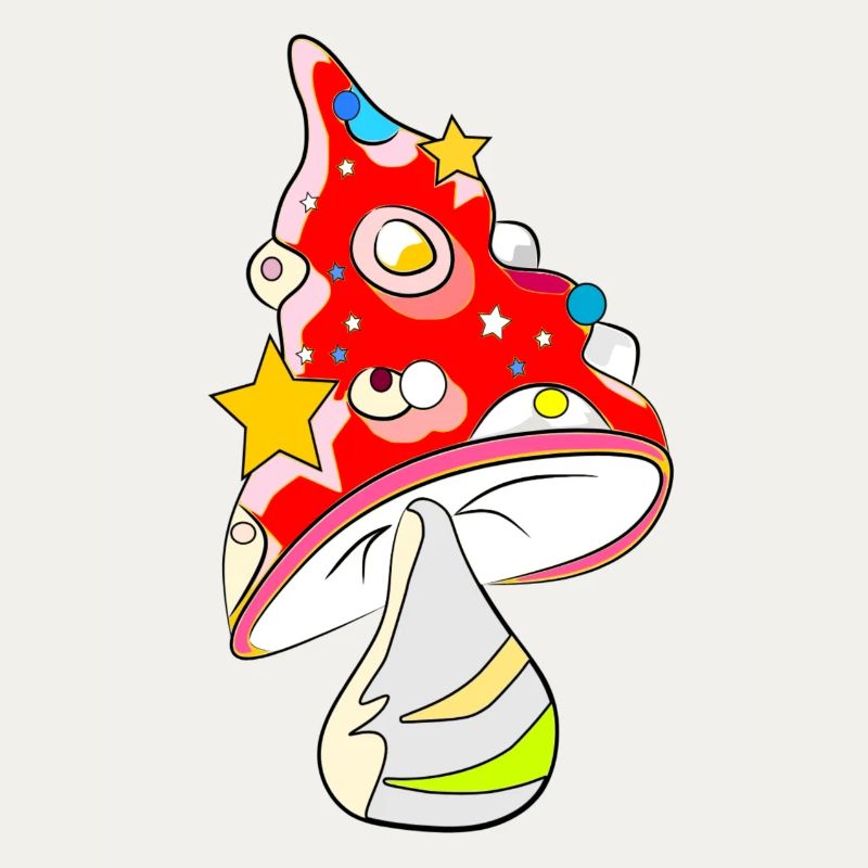 Red mushroom - fly agaric