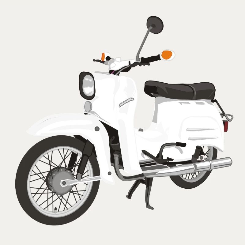 Simson Schwalbe
