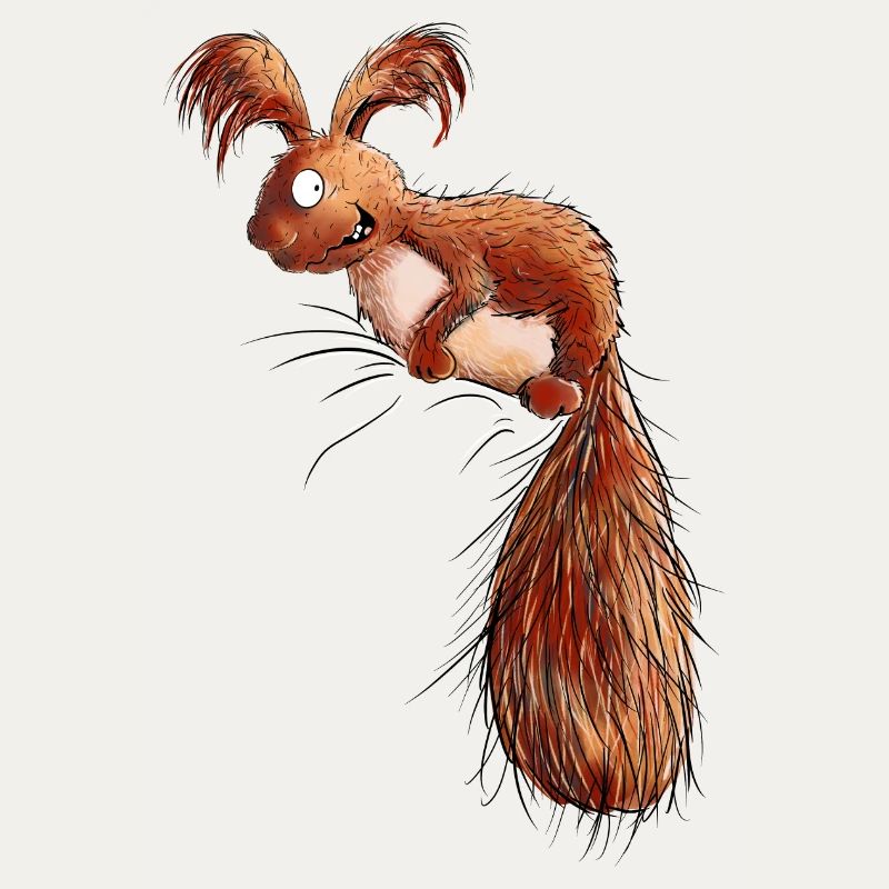 Droll Écureuil Faune
