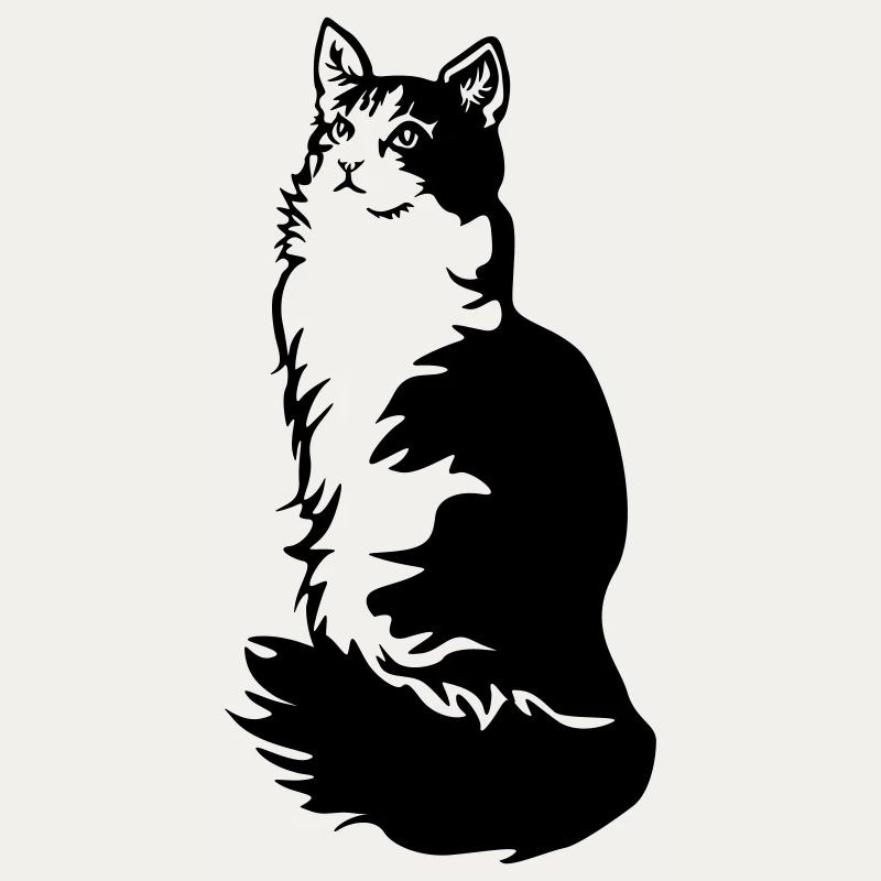 Norwegian Forest Cat Tuxedo